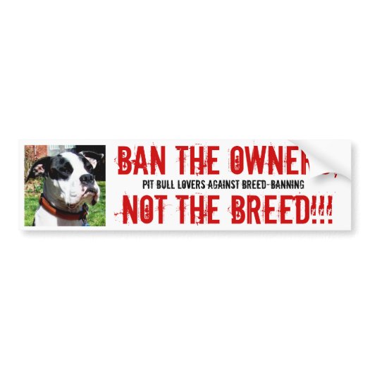 vox1_ban_the_owners_not_the_breed_pit_bul_bumper_sticker-p128901579731969122tmn6_525.jpg