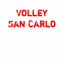 VSC maglietta t-shirts