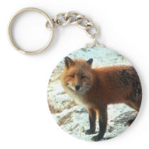 Vulpes_vulpes_red fox keychain