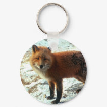 Vulpes_vulpes_red fox keychains