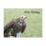 vulture bird postcard