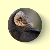 vulture buttons