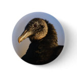 vulture button