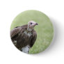 vulture button