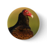vulture button