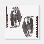 Vulture Carrion and Picked Clean for Dishwasher Magnet