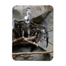 Vulture Flexible Magnet