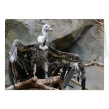 Vulture Greeting Card