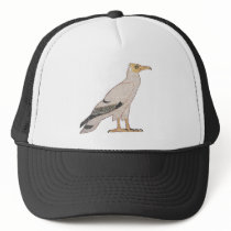 Vulture hats