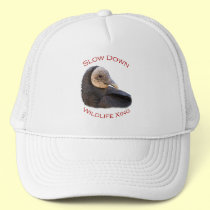 vulture hats