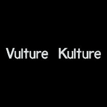Vulture Kulture embroidered hoodie embroidered shirts