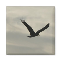 Vulture. magnets