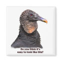Vulture Magnet