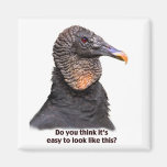 Vulture Magnet