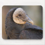 Vulture Mouse Pads