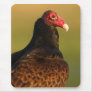 Vulture Mouse Pad