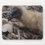 Vulture nestling mousepads