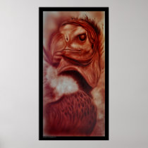 Vulture Poster