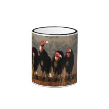 Vulture Quartet Mugs