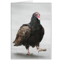 Vulture Walking Card by farmer77 Vulture Walking Card
