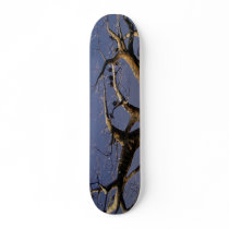 Vultures In Tree Skateboard
