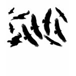 Vultures silohuettes tee shirt