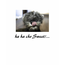 w, ha ha cho Sweet!... t-shirts by sekarc w, ha ha cho Sweet!... t-shirts