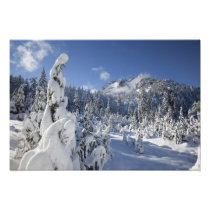 WA, Alpine Lakes Wilderness, Snow Lake basin