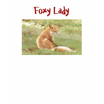 WA- Foxy Lady Shirt