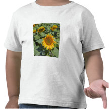 WA, Kittitas County, Sunflower Field 2 Tshirt