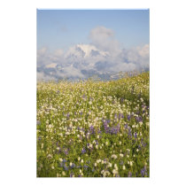 WA, Mt. Baker Wilderness, Mt. Shuksan and