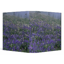 WA, Mt. Rainier NP, Lupine and Bistort meadow Vinyl Binders