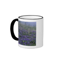 WA, Mt. Rainier NP, Lupine and Bistort meadow Mugs
