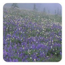 WA, Mt. Rainier NP, Lupine and Bistort meadow Sticker