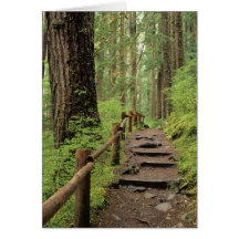 WA, Olympic NP, Sol Duc Valley, rainforest Greeting Card