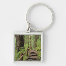 WA, Olympic NP, Sol Duc Valley, rainforest Key Chain
