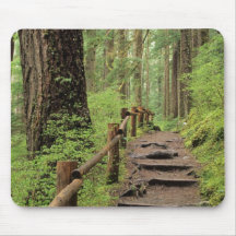 WA, Olympic NP, Sol Duc Valley, rainforest Mouse Pads