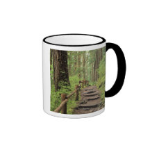 WA, Olympic NP, Sol Duc Valley, rainforest Coffee Mug