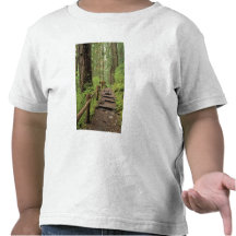 WA, Olympic NP, Sol Duc Valley, rainforest Tee Shirts