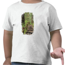 WA, Olympic NP, Sol Duc Valley, rainforest Tshirts