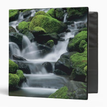 WA, Olympic NP, Sol Duc Valley, stream with Binders