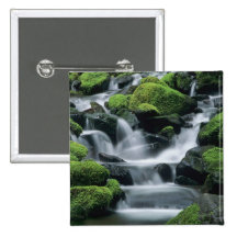 WA, Olympic NP, Sol Duc Valley, stream with Pinback Button