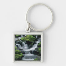 WA, Olympic NP, Sol Duc Valley, stream with Key Chains