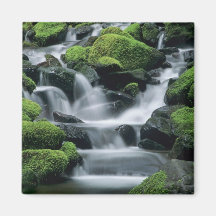 WA, Olympic NP, Sol Duc Valley, stream with Refrigerator Magnet