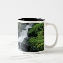 WA, Olympic NP, Sol Duc Valley, stream with Coffee Mug