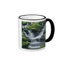 WA, Olympic NP, Sol Duc Valley, stream with Coffee Mug