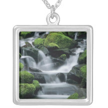 WA, Olympic NP, Sol Duc Valley, stream with Pendant