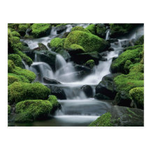 WA, Olympic NP, Sol Duc Valley, stream with Post Card