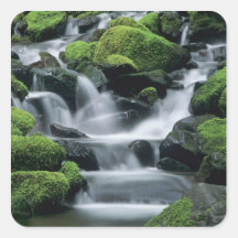 WA, Olympic NP, Sol Duc Valley, stream with Square Stickers