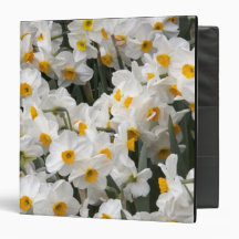 WA, Skagit Valley, Daffodil pattern Vinyl Binders